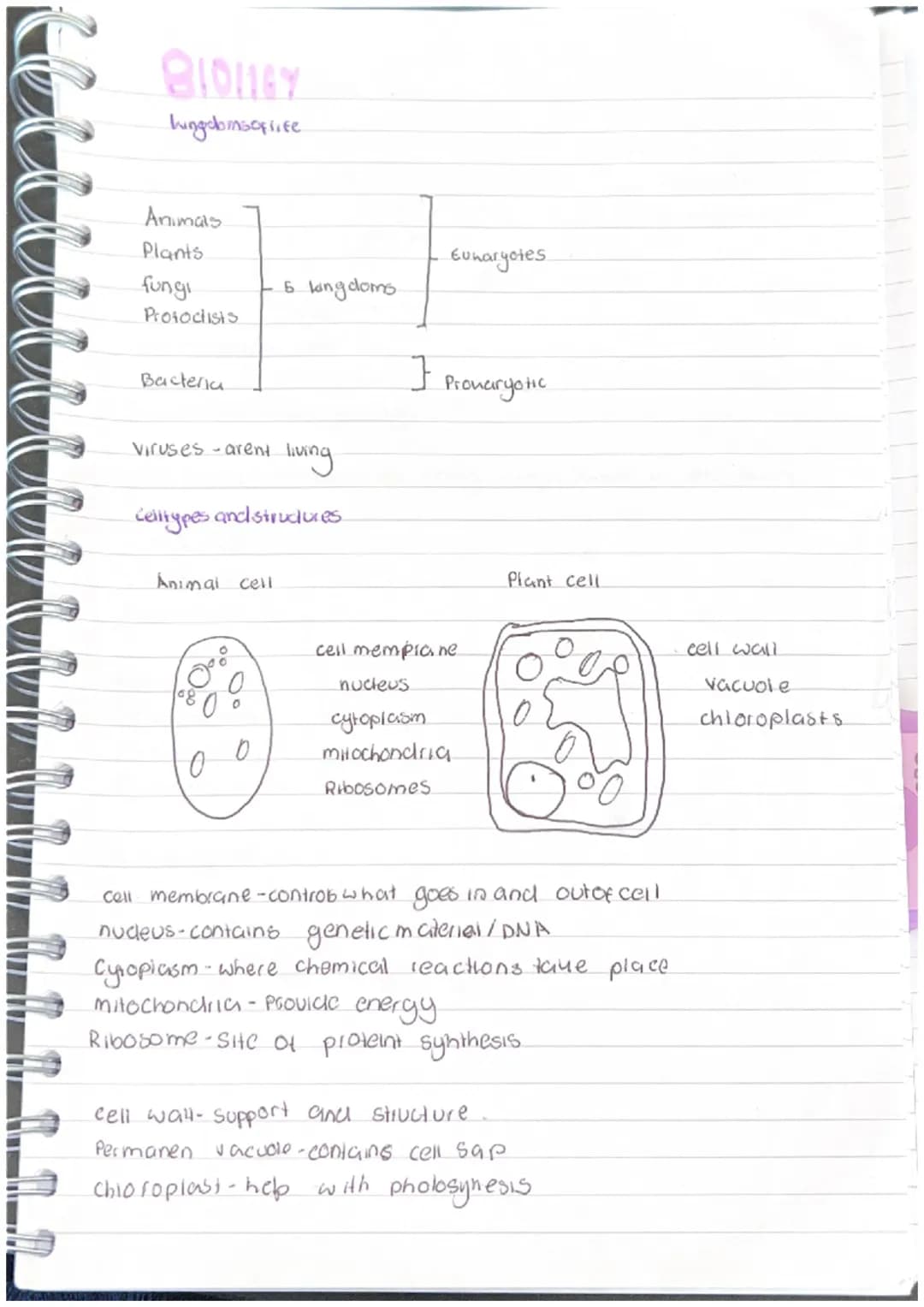 8101167
hungchinsoflife.
Animals
Plants
Eukaryotes
fungi
5 langdoms
Protoctists
Bacteria
}
Pronaryotic
viruses-arent living
Celltypes and st