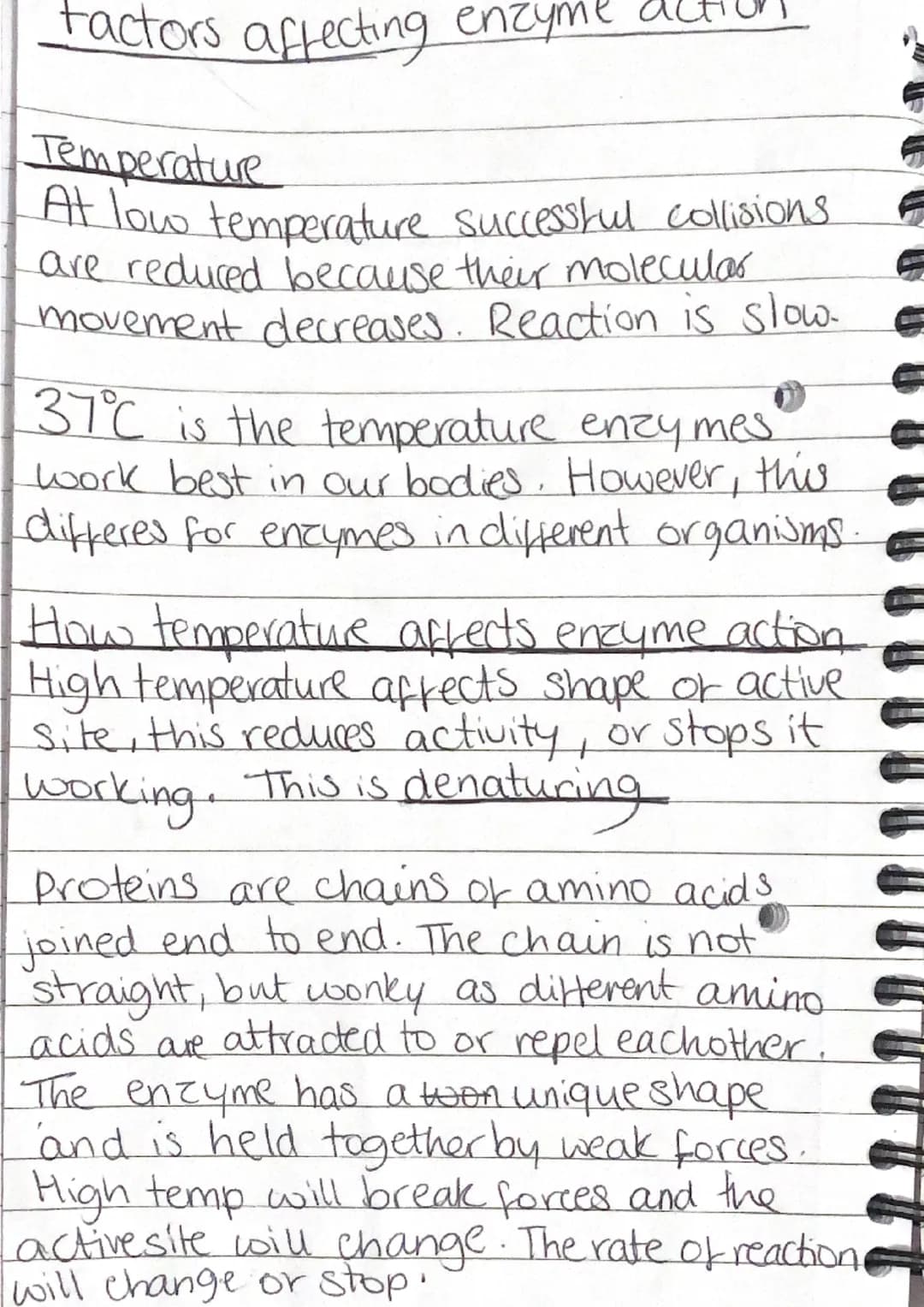 factors affecting enzyme.
Temperature
At low temperature successful collisions.
are reduced because their molecular
movement decreases. Reac