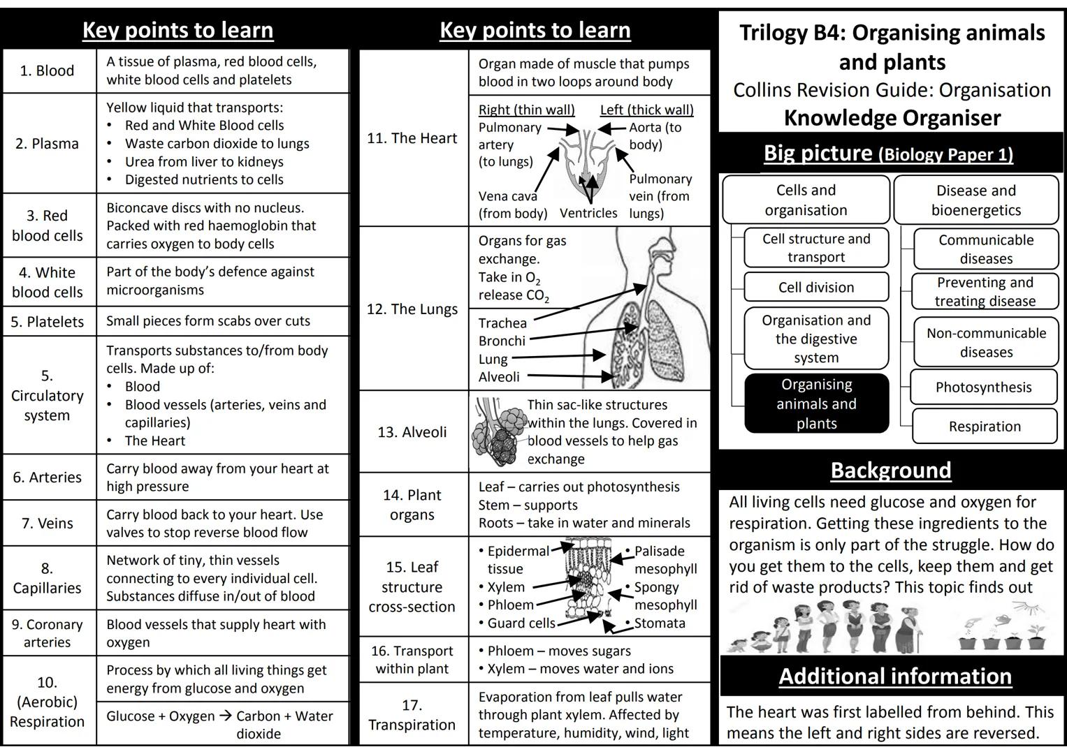 1. Blood
2. Plasma
3. Red
blood cells
Key points to learn
4. White
blood cells
5. Platelets
5.
Circulatory
system
6. Arteries
7. Veins
8.
Ca