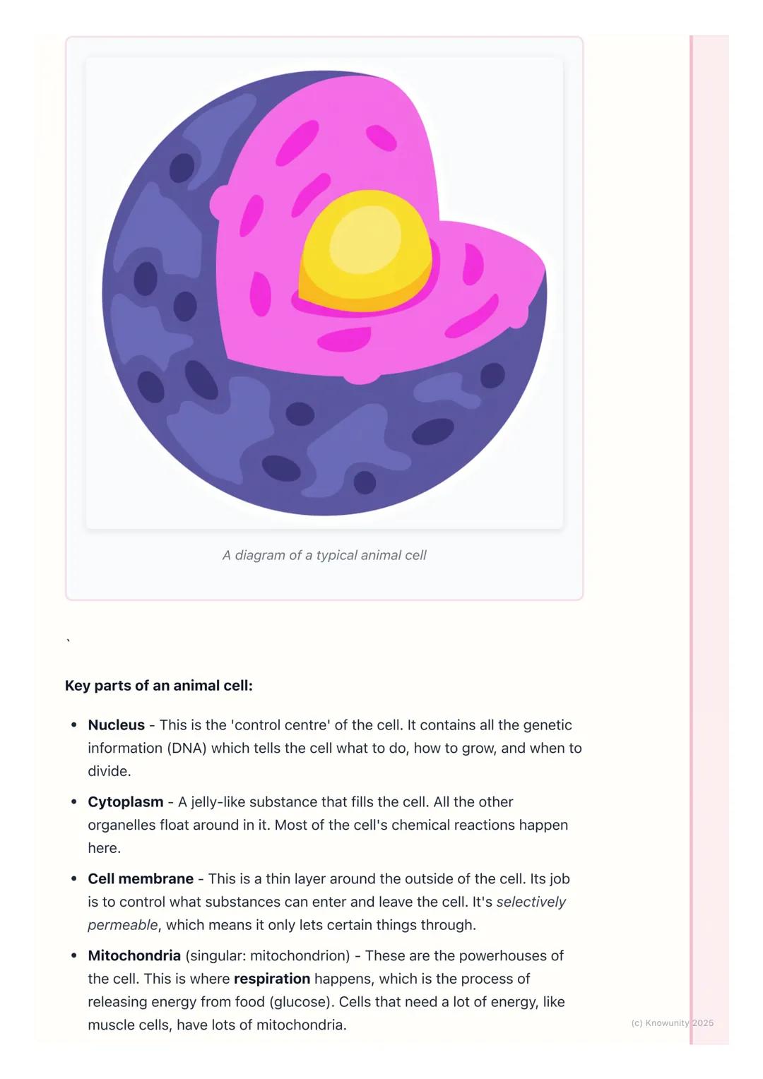 # Plant and Animal Cells

## Introduction to cells

All living things, from tiny bacteria to massive trees and even us, are made of
cells. T