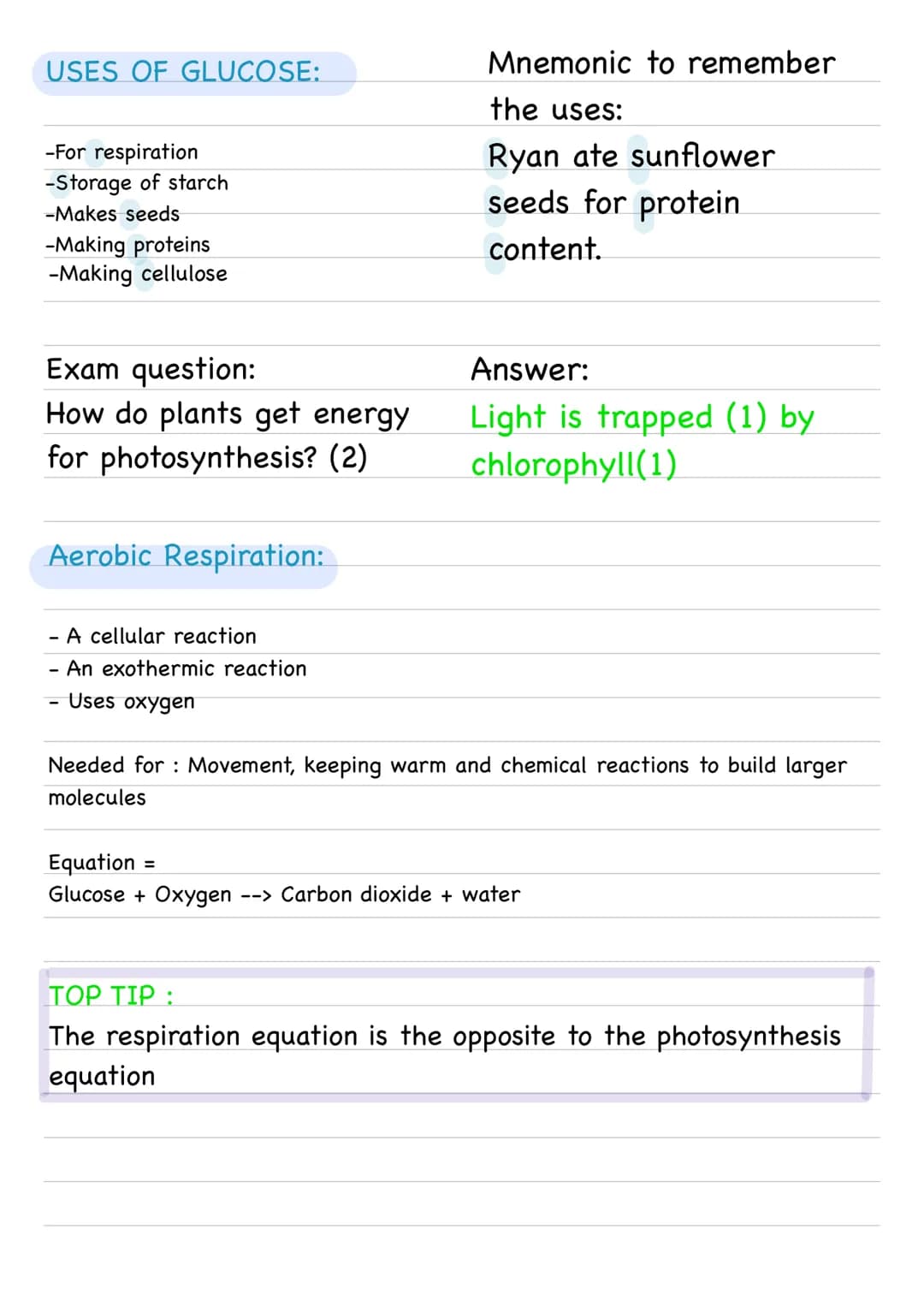 Bioenergetics :
Photosynthesis:
- An endothermic reaction as energy is transferred from the
environment to the chloroplasts by light.
Word e