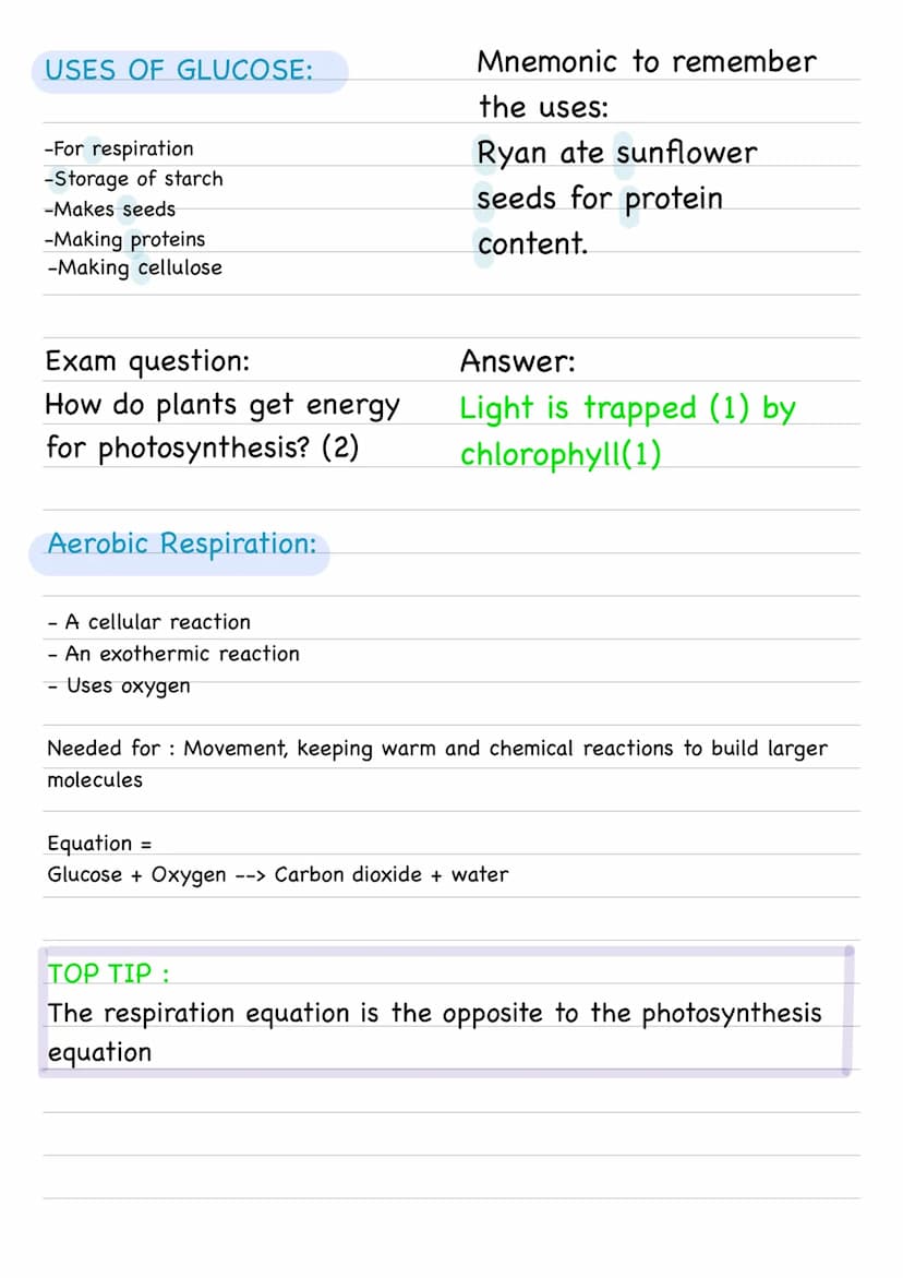 Bioenergetics :
Photosynthesis:
- An endothermic reaction as energy is transferred from the
environment to the chloroplasts by light.
Word e