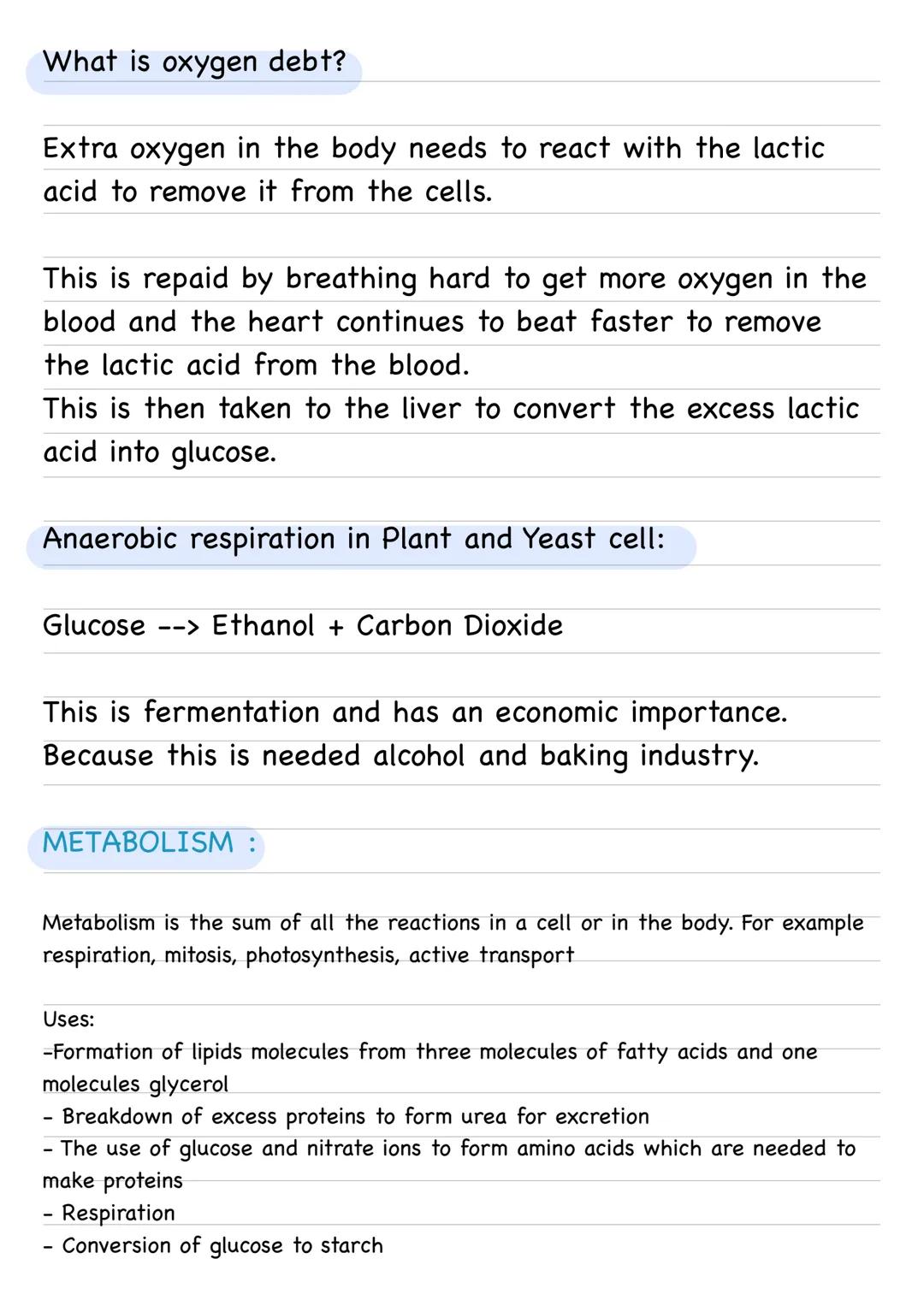 Bioenergetics :
Photosynthesis:
- An endothermic reaction as energy is transferred from the
environment to the chloroplasts by light.
Word e