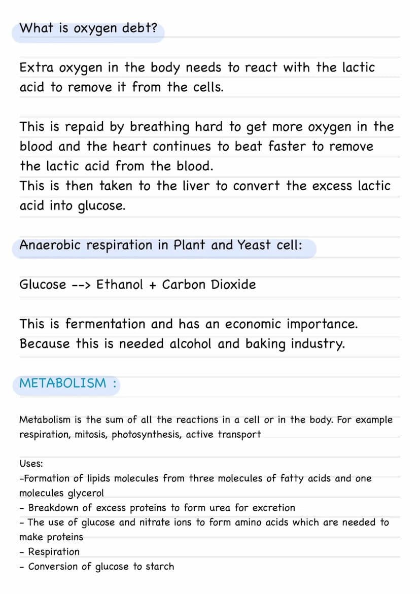Bioenergetics :
Photosynthesis:
- An endothermic reaction as energy is transferred from the
environment to the chloroplasts by light.
Word e