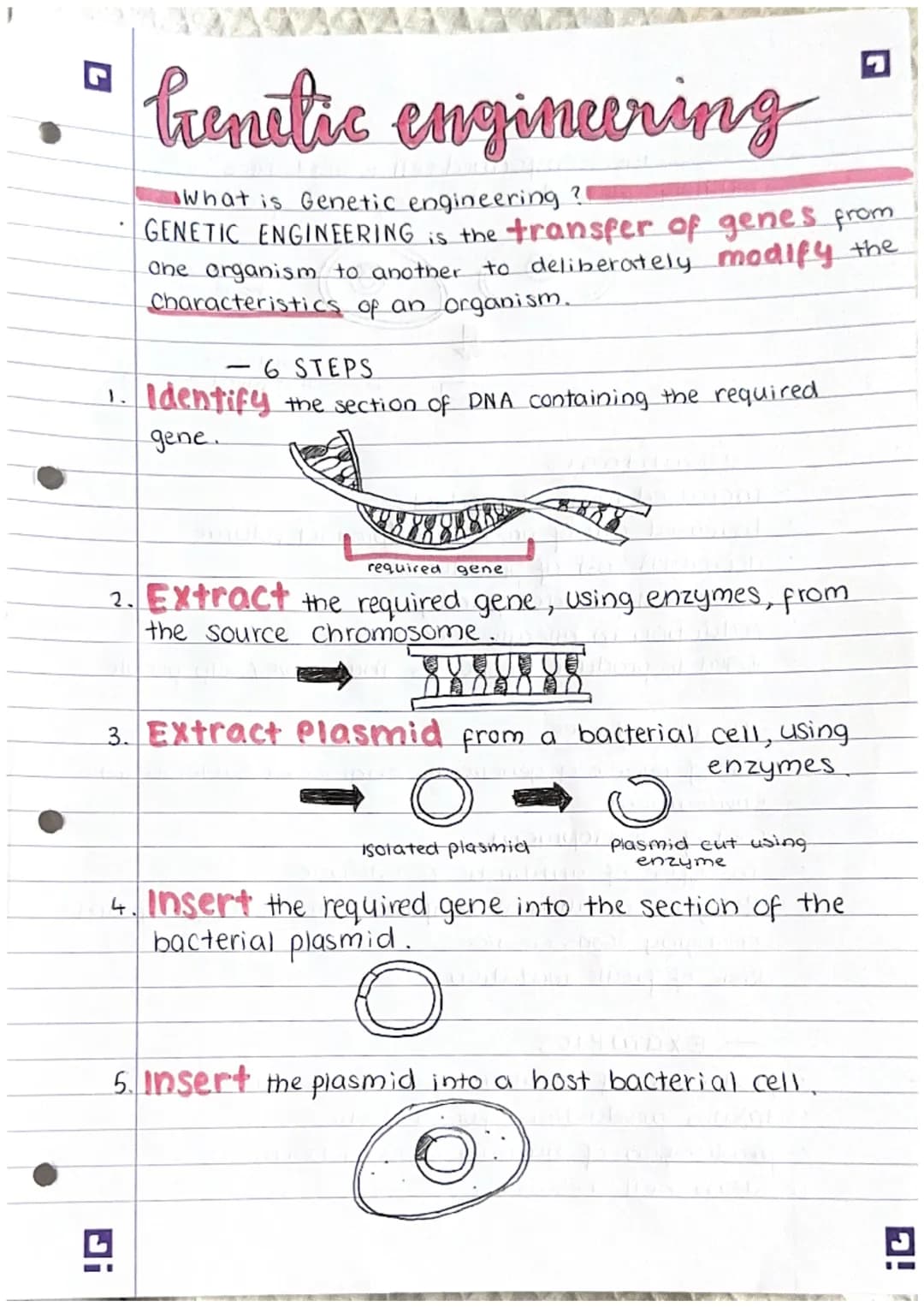 G
Genetic engineering
What is Genetic engineering ?!
GENETIC ENGINEERING is the transfer of genes from
one organism to another to deliberate