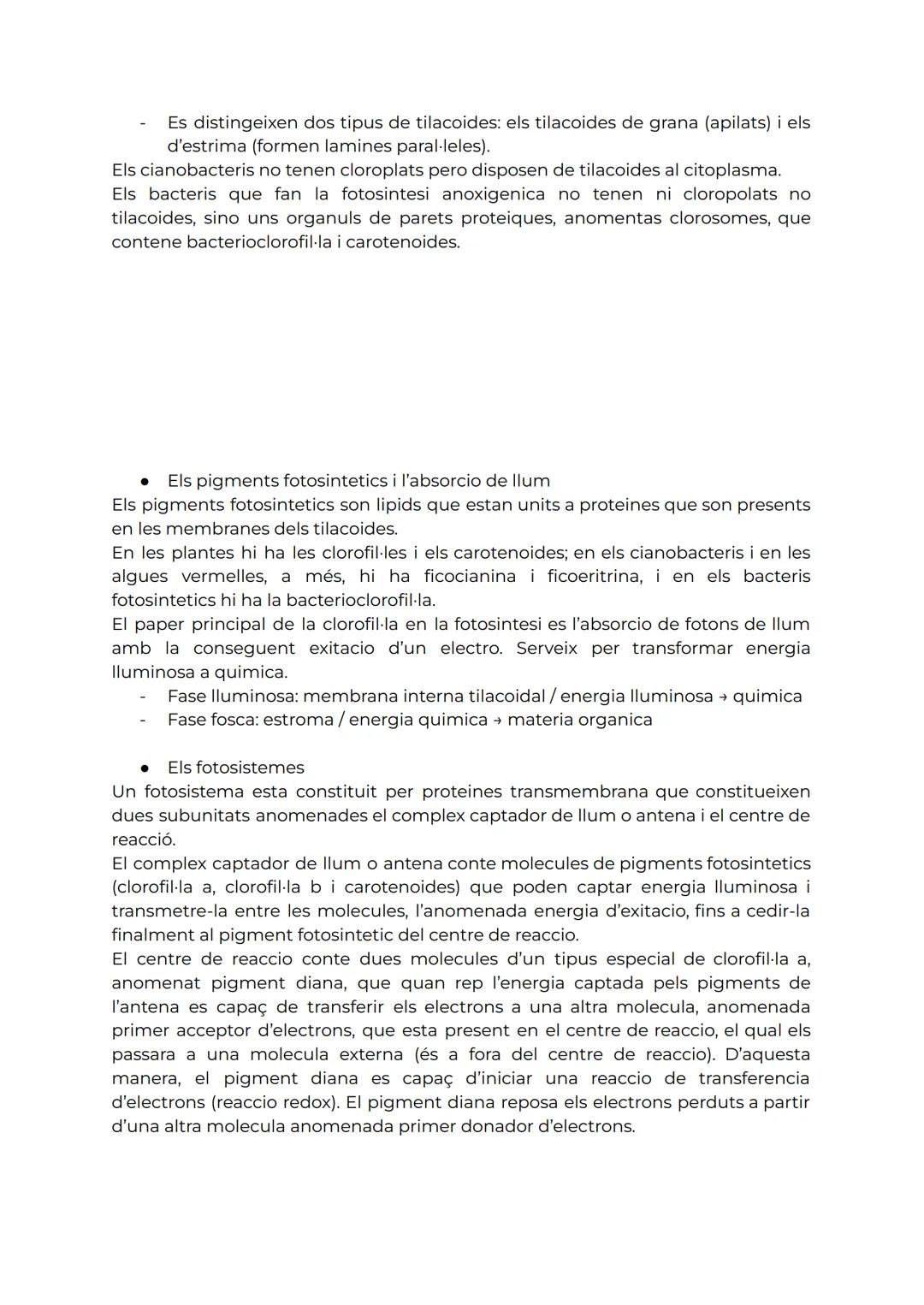 TEMA 3. L'ANABOLISME AUTÒTROF

1. Anabolsime

L'anabolisme es la via constructiva del metabolisme, es a dir, la ruta de sintesi de
molecules