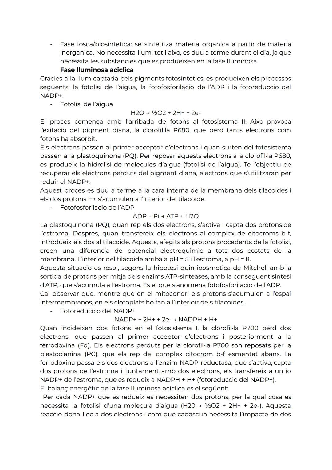 TEMA 3. L'ANABOLISME AUTÒTROF

1. Anabolsime

L'anabolisme es la via constructiva del metabolisme, es a dir, la ruta de sintesi de
molecules