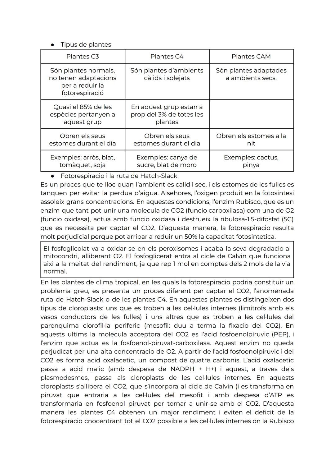 TEMA 3. L'ANABOLISME AUTÒTROF

1. Anabolsime

L'anabolisme es la via constructiva del metabolisme, es a dir, la ruta de sintesi de
molecules