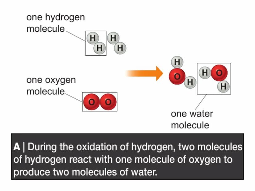 c/w
LOS: To be able to:
describe oxidation reactions of metals and non-metals;
explain changes in mass seen in oxidation reactions;
compare 