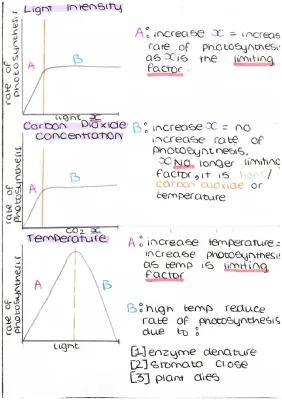 Know Ccea gcse biology higher tier unit 1 thumbnail