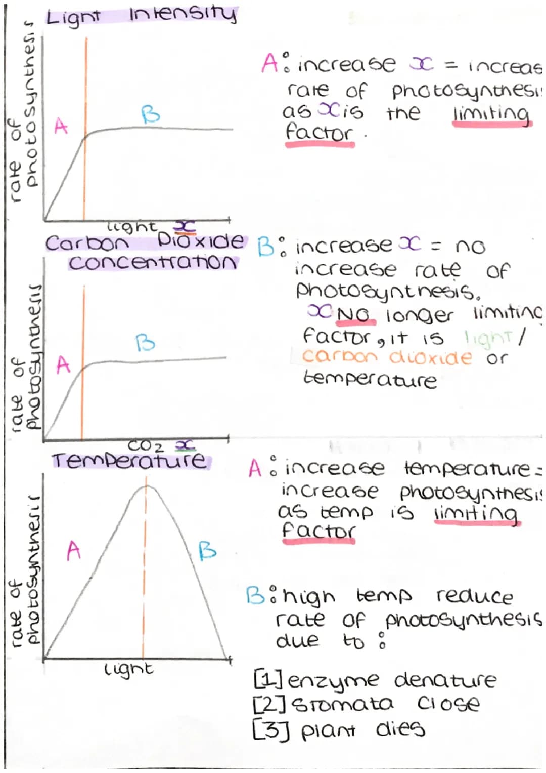 photosynthesis
of
HO
Janu 520d
rate of
rate of
of oud
Light
Carbon
Intensity
light X
Dioxide
concentration
A
B
B
light
A increase x =
rate o