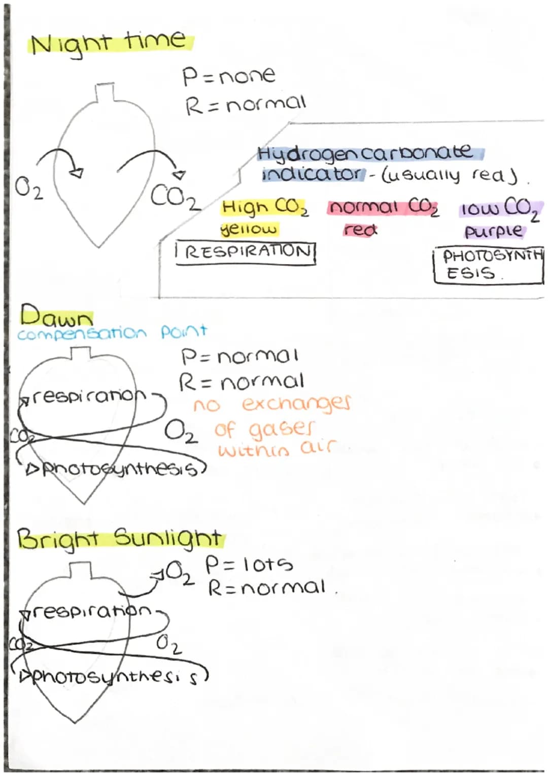 photosynthesis
of
HO
Janu 520d
rate of
rate of
of oud
Light
Carbon
Intensity
light X
Dioxide
concentration
A
B
B
light
A increase x =
rate o