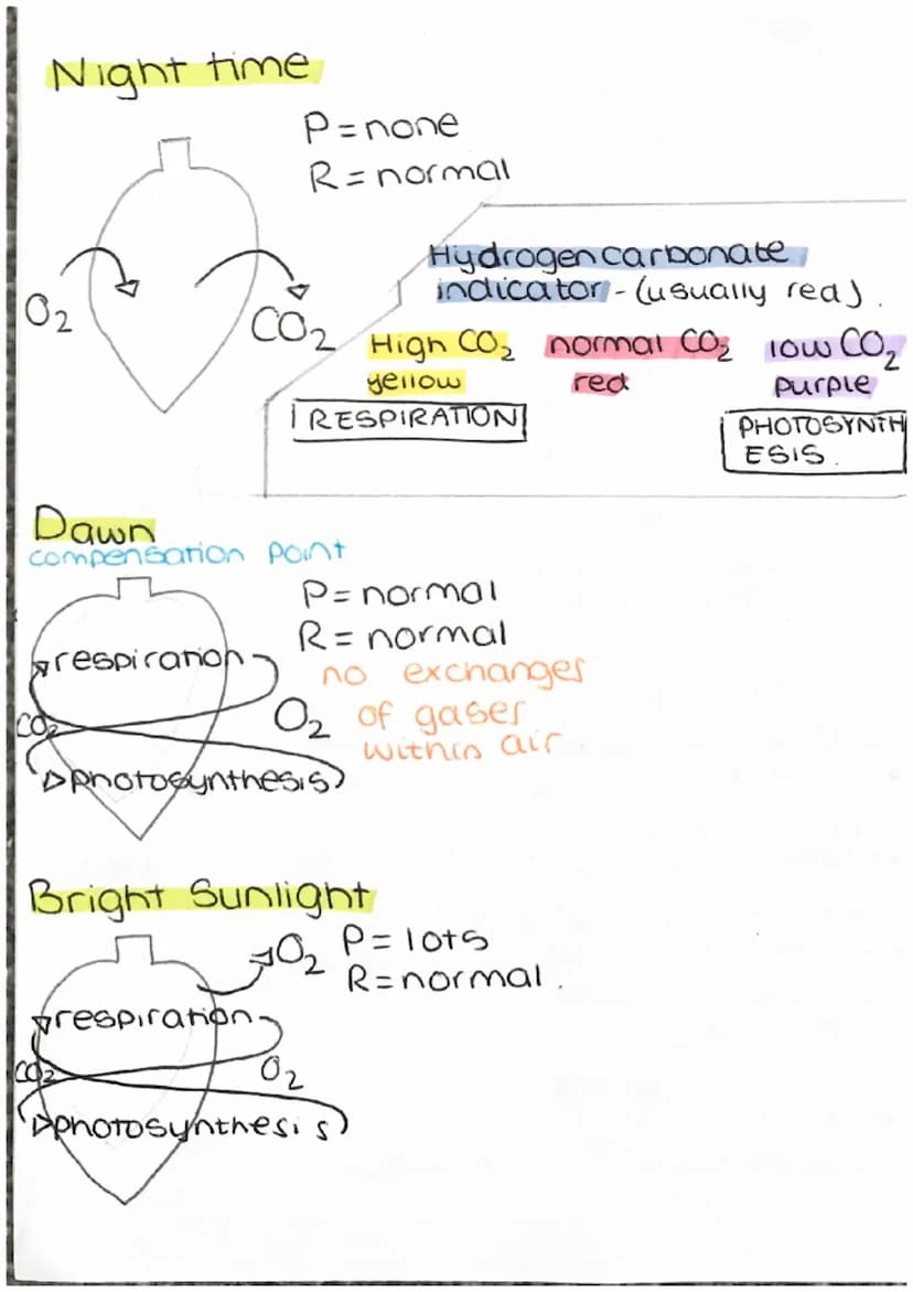 photosynthesis
of
HO
Janu 520d
rate of
rate of
of oud
Light
Carbon
Intensity
light X
Dioxide
concentration
A
B
B
light
A increase x =
rate o