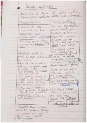 Know Protein synthesis thumbnail