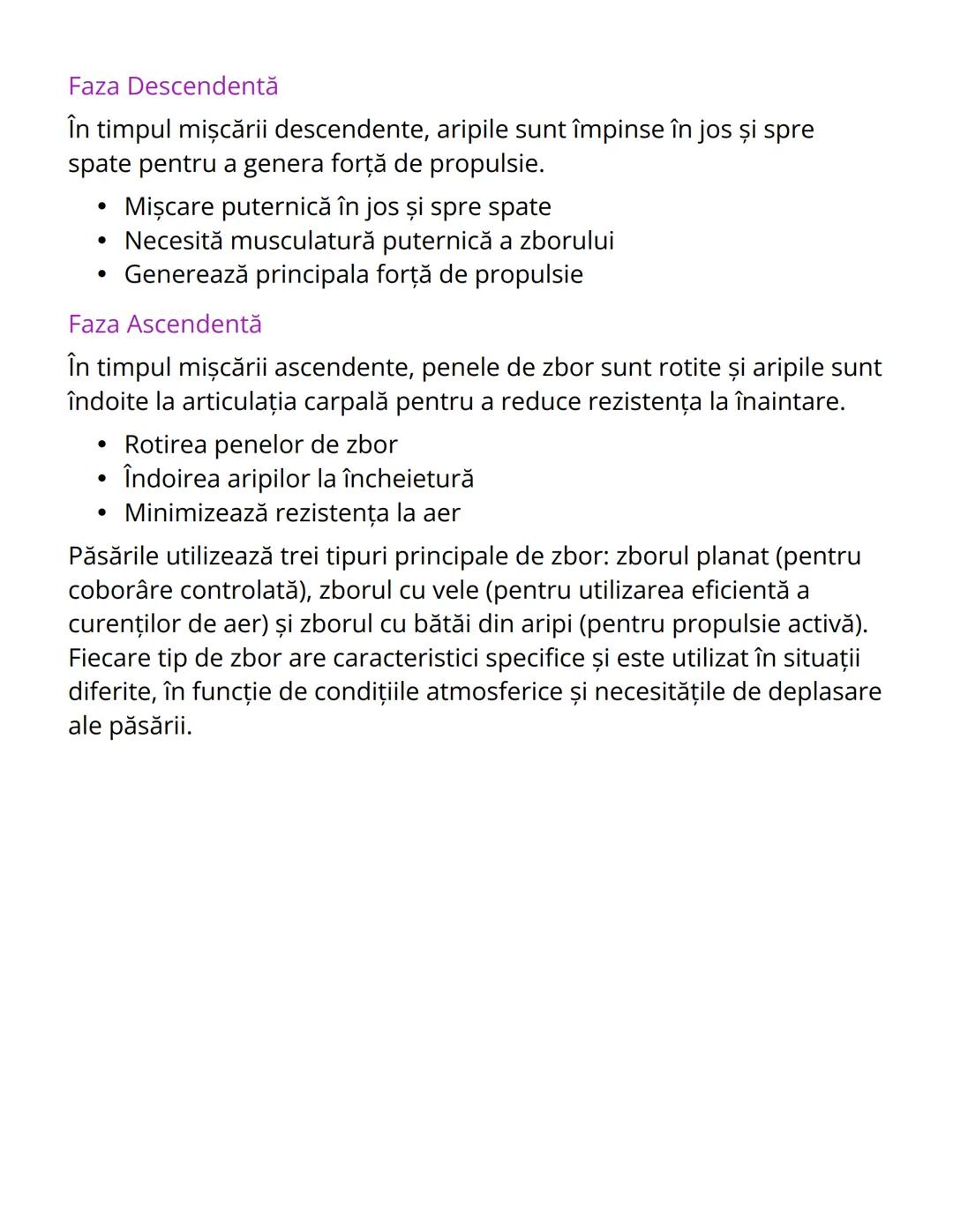 # Tipuri de Zbor la Păsări

Zborul Planat

Zborul planat este o formă fundamentală de zbor la păsări,
caracterizată prin extinderea aripilor