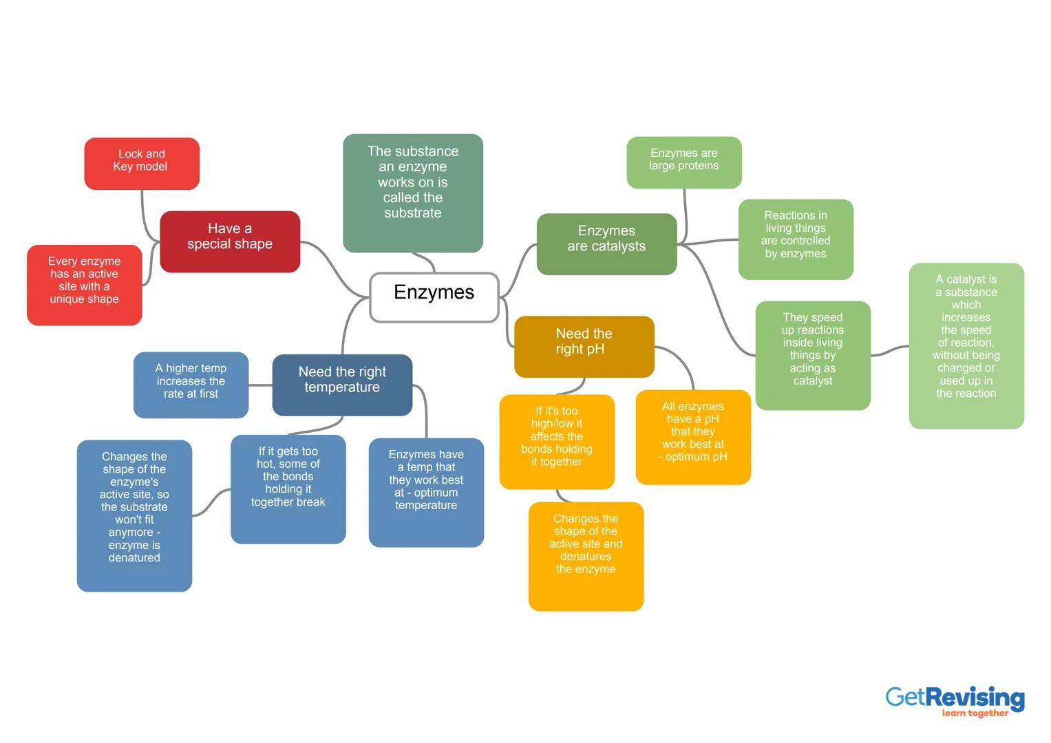 Lock and
Key model

Every enzyme
has an active
site with a
unique shape

Have a
special shape

The substance
an enzyme
works on is
called th