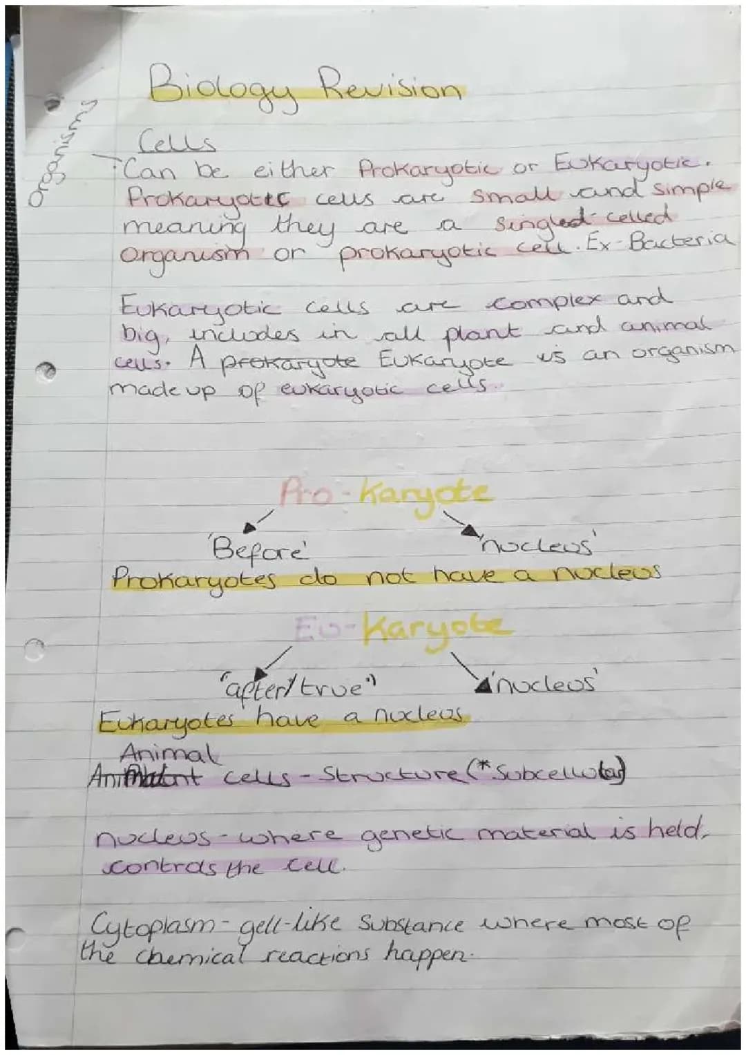 Biology Revision Notes on Cells and Microscopes PDF - GCSE and A-Level