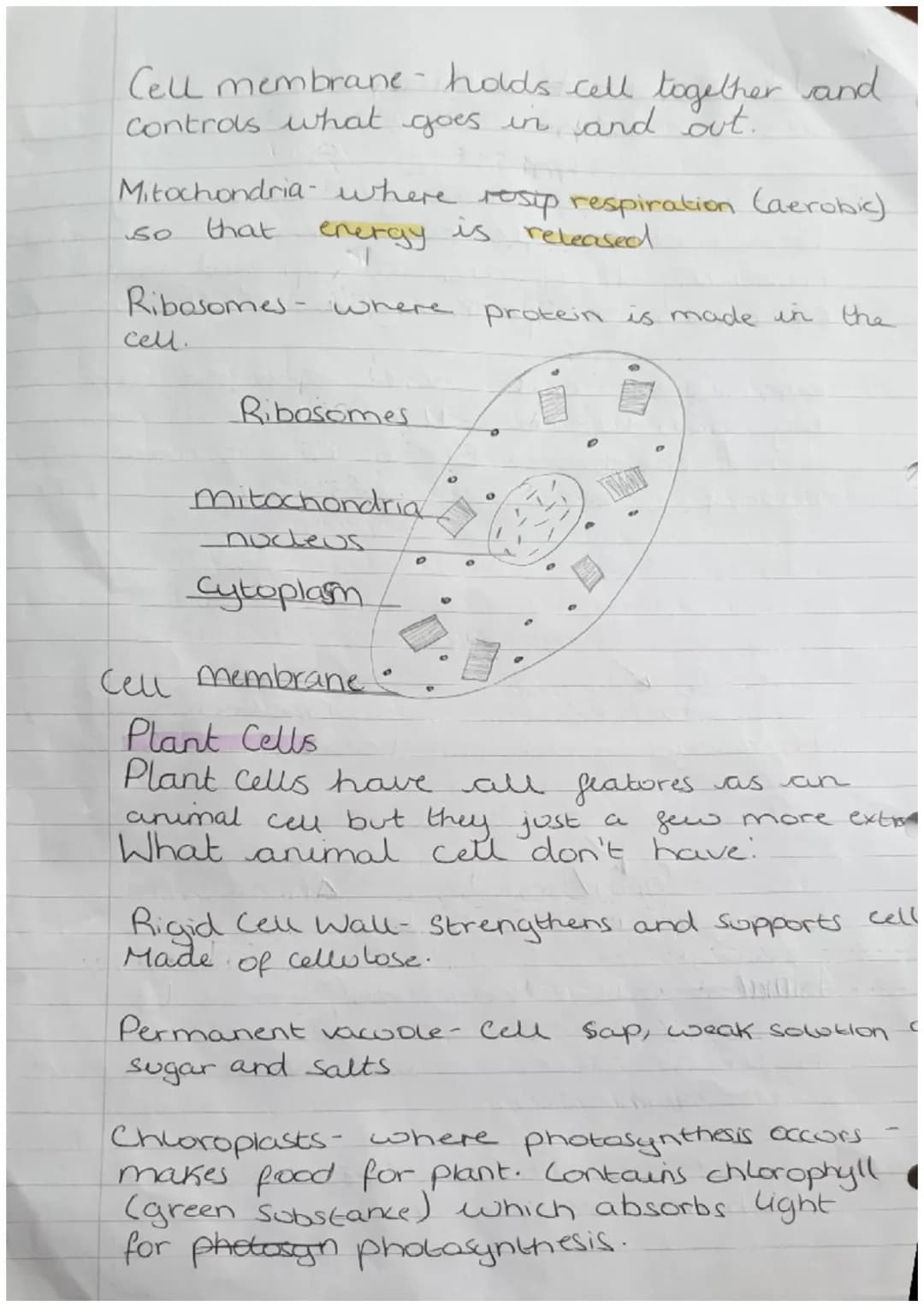 Organisms
Biology Revision
Cells
Can be either Prokaryotic.
Prokaryotes cells are
meaning they are
organism
Zor
or Eukaryotic.
Small and sim