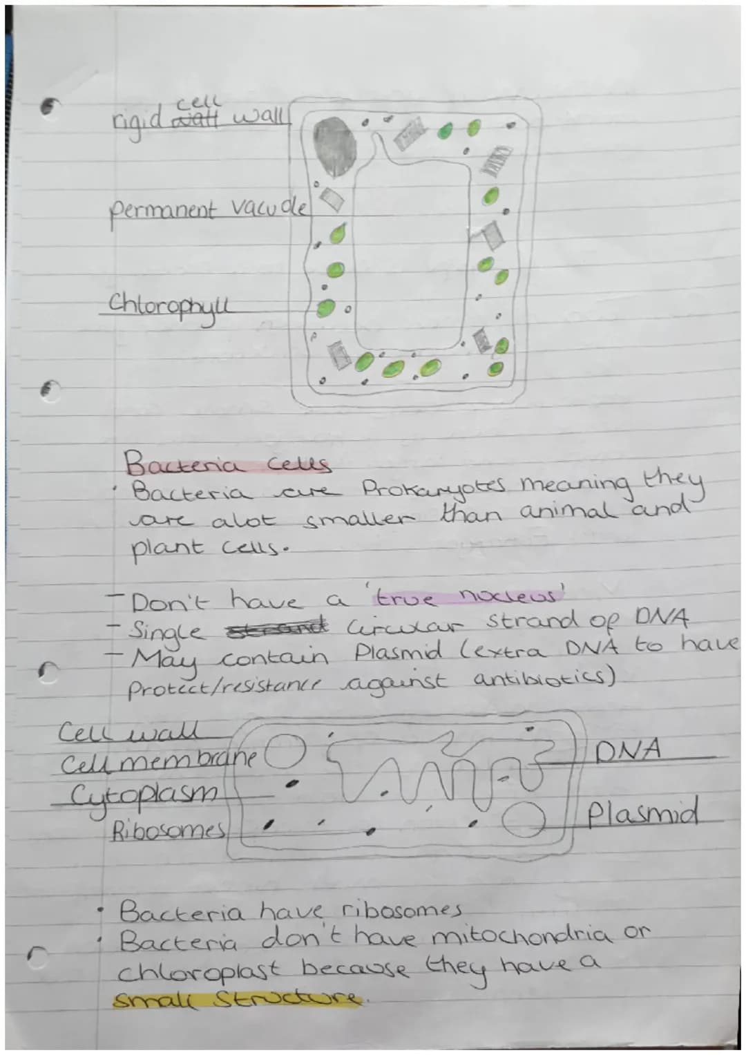 Organisms
Biology Revision
Cells
Can be either Prokaryotic.
Prokaryotes cells are
meaning they are
organism
Zor
or Eukaryotic.
Small and sim