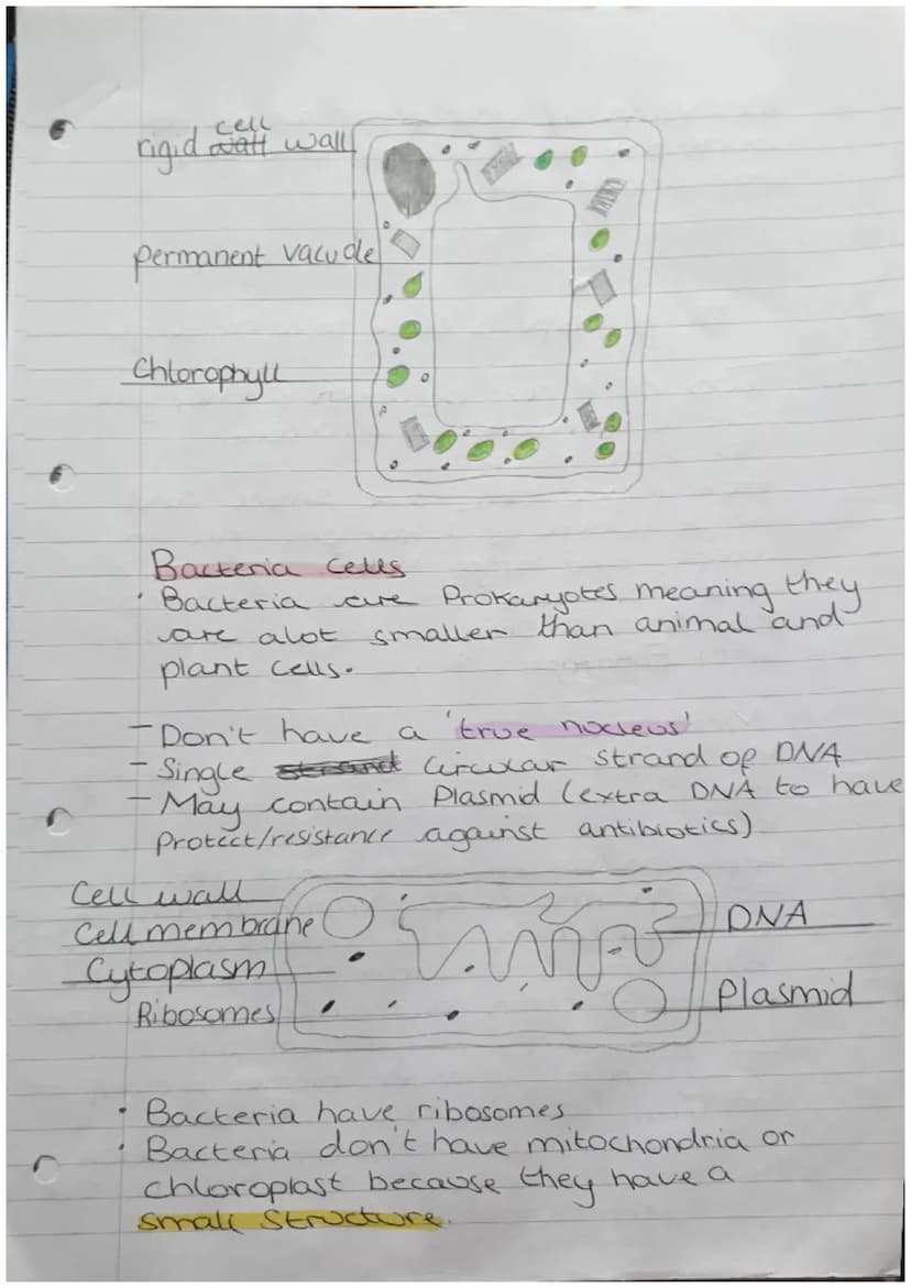 Organisms
Biology Revision
Cells
Can be either Prokaryotic.
Prokaryotes cells are
meaning they are
organism
Zor
or Eukaryotic.
Small and sim
