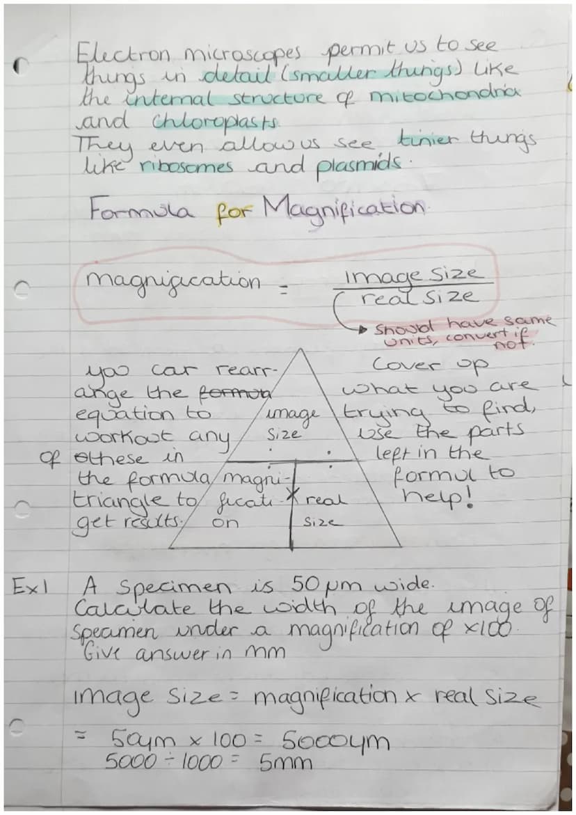 Organisms
Biology Revision
Cells
Can be either Prokaryotic.
Prokaryotes cells are
meaning they are
organism
Zor
or Eukaryotic.
Small and sim