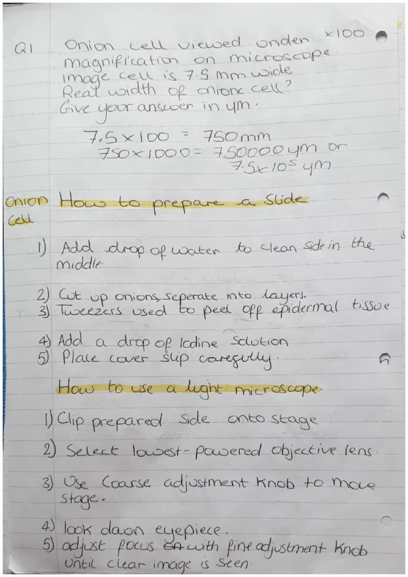 Organisms
Biology Revision
Cells
Can be either Prokaryotic.
Prokaryotes cells are
meaning they are
organism
Zor
or Eukaryotic.
Small and sim