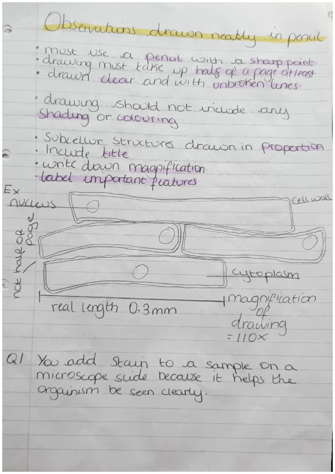 Organisms
Biology Revision
Cells
Can be either Prokaryotic.
Prokaryotes cells are
meaning they are
organism
Zor
or Eukaryotic.
Small and sim