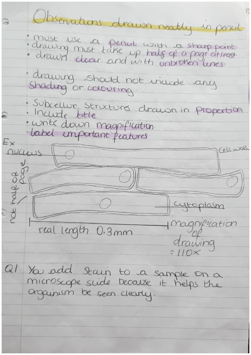 Organisms
Biology Revision
Cells
Can be either Prokaryotic.
Prokaryotes cells are
meaning they are
organism
Zor
or Eukaryotic.
Small and sim