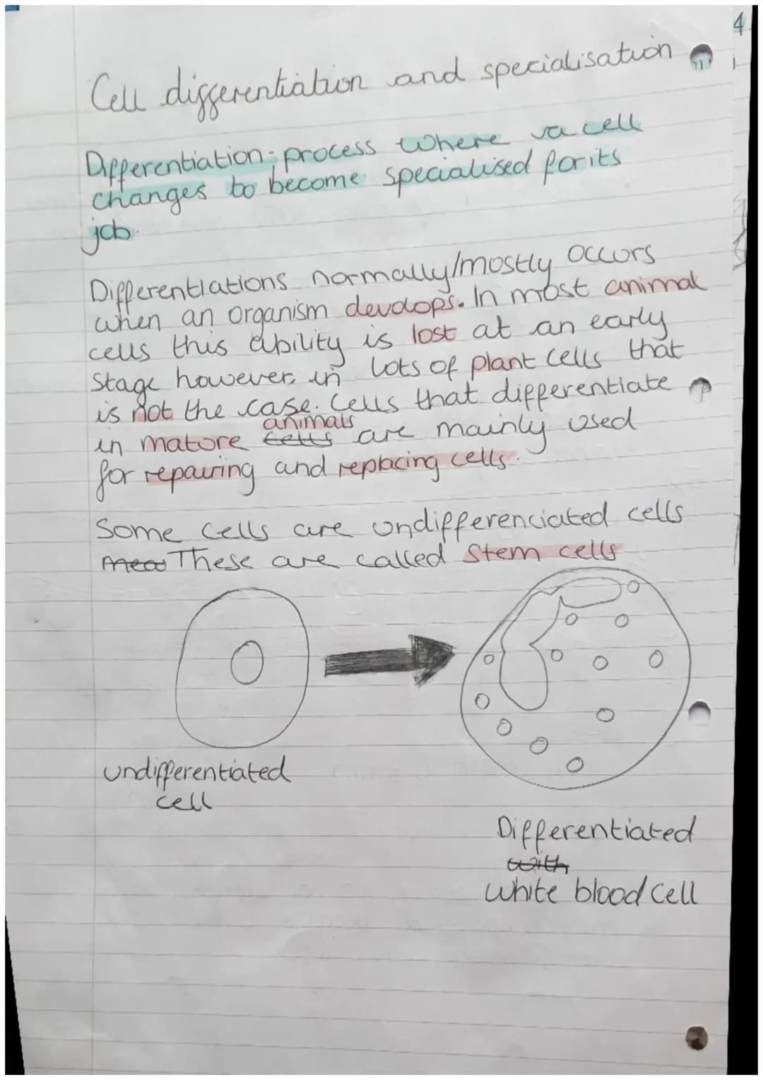 Organisms
Biology Revision
Cells
Can be either Prokaryotic.
Prokaryotes cells are
meaning they are
organism
Zor
or Eukaryotic.
Small and sim