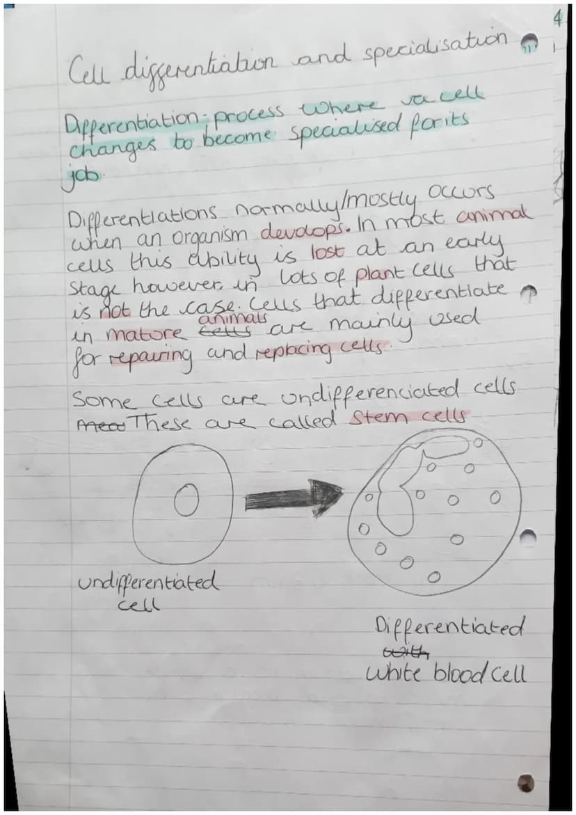 Organisms
Biology Revision
Cells
Can be either Prokaryotic.
Prokaryotes cells are
meaning they are
organism
Zor
or Eukaryotic.
Small and sim