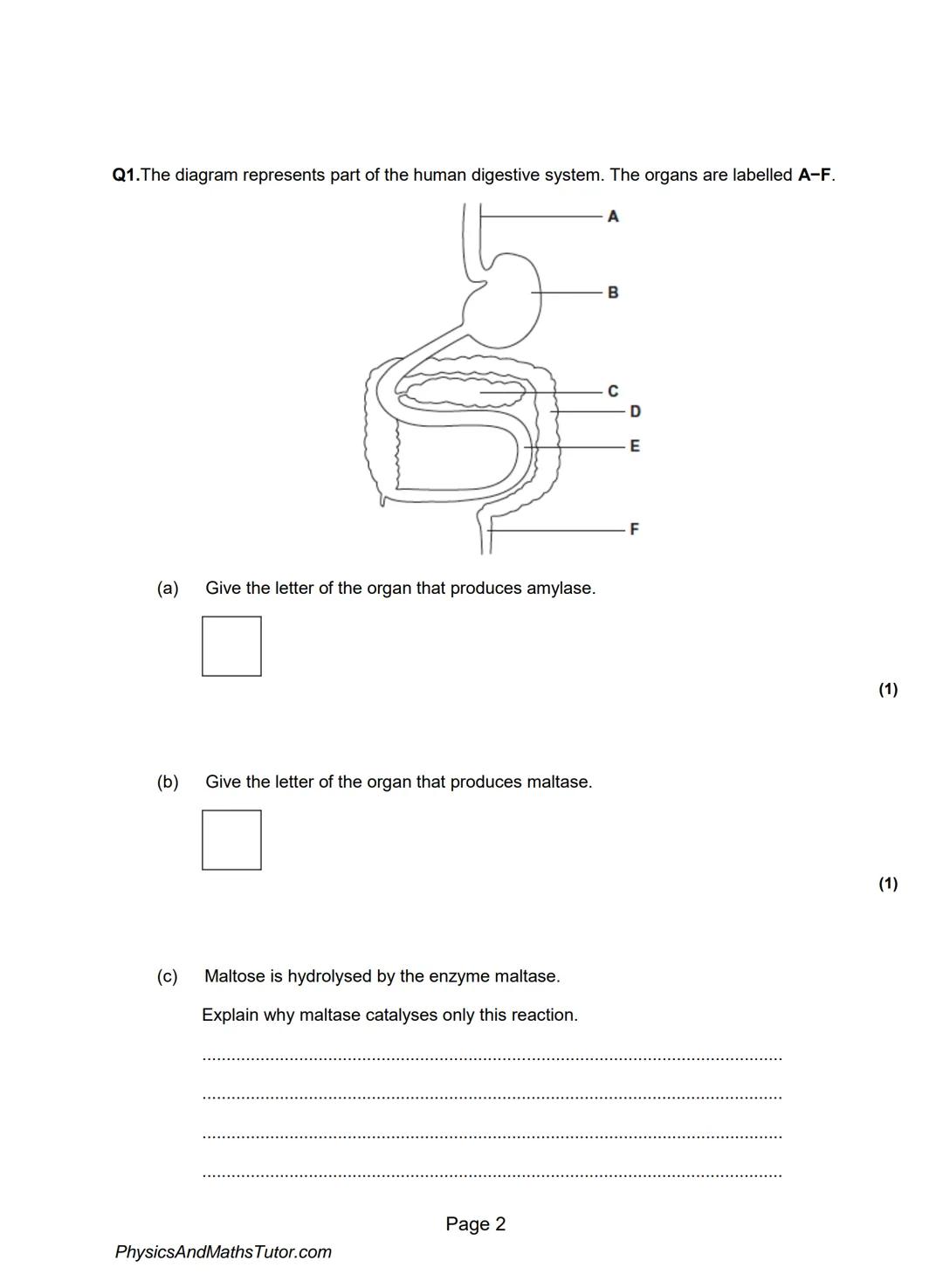 proteins and enzymes past paper questions 