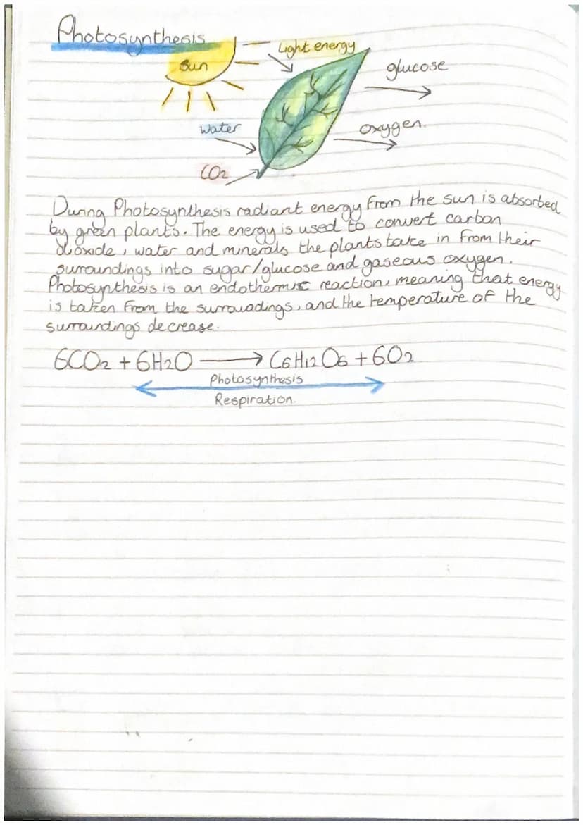 
<h2 id="introduction">Introduction</h2>
<p>In the study of biology, it is important to understand the concepts related to cells, their diff