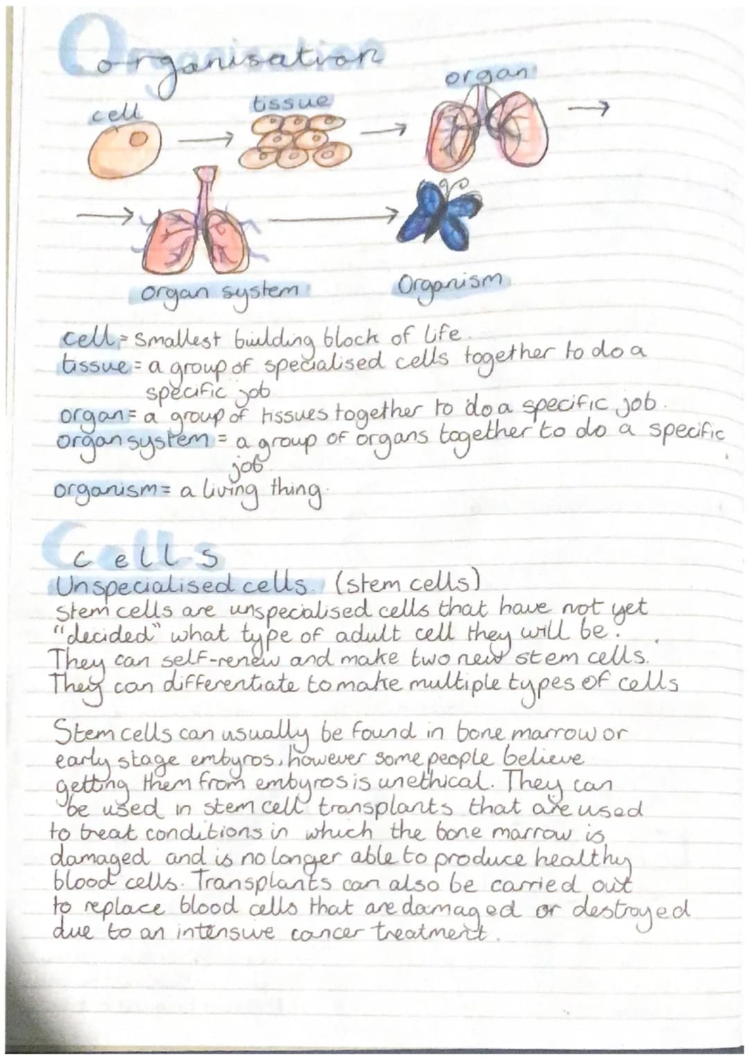 
<h2 id="introduction">Introduction</h2>
<p>In the study of biology, it is important to understand the concepts related to cells, their diff