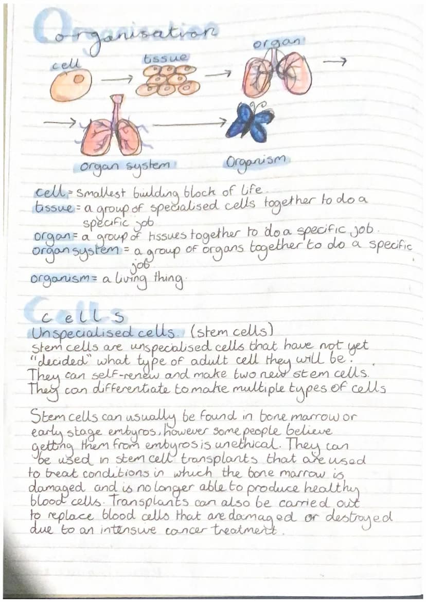 
<h2 id="introduction">Introduction</h2>
<p>In the study of biology, it is important to understand the concepts related to cells, their diff