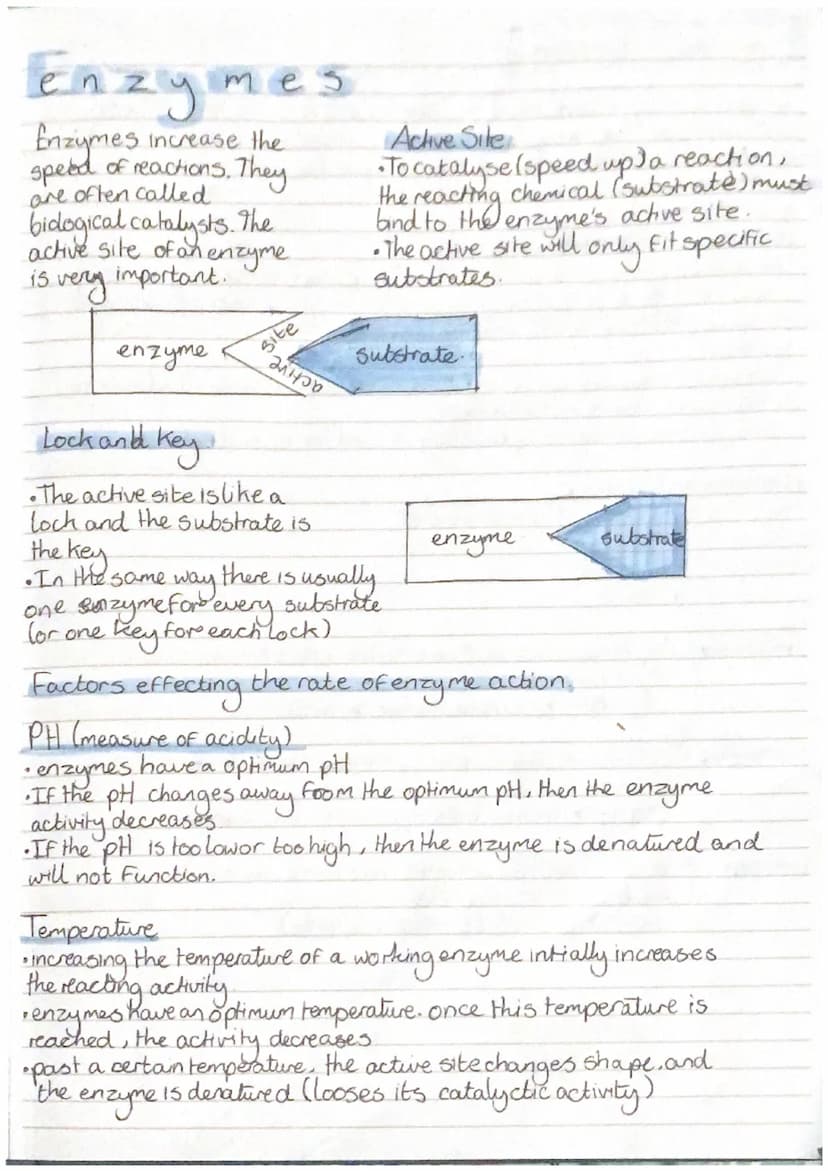 
<h2 id="introduction">Introduction</h2>
<p>In the study of biology, it is important to understand the concepts related to cells, their diff