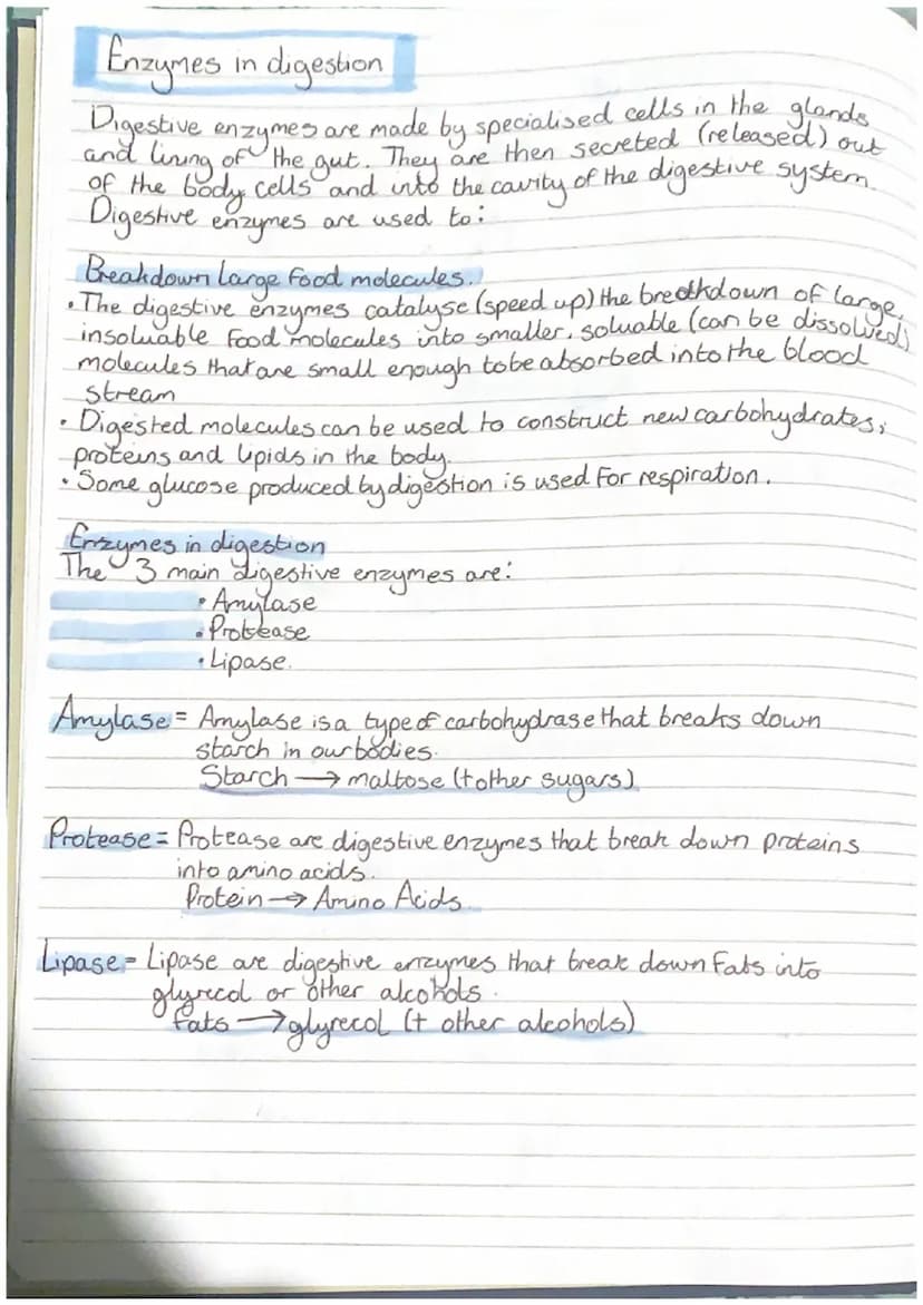 
<h2 id="introduction">Introduction</h2>
<p>In the study of biology, it is important to understand the concepts related to cells, their diff