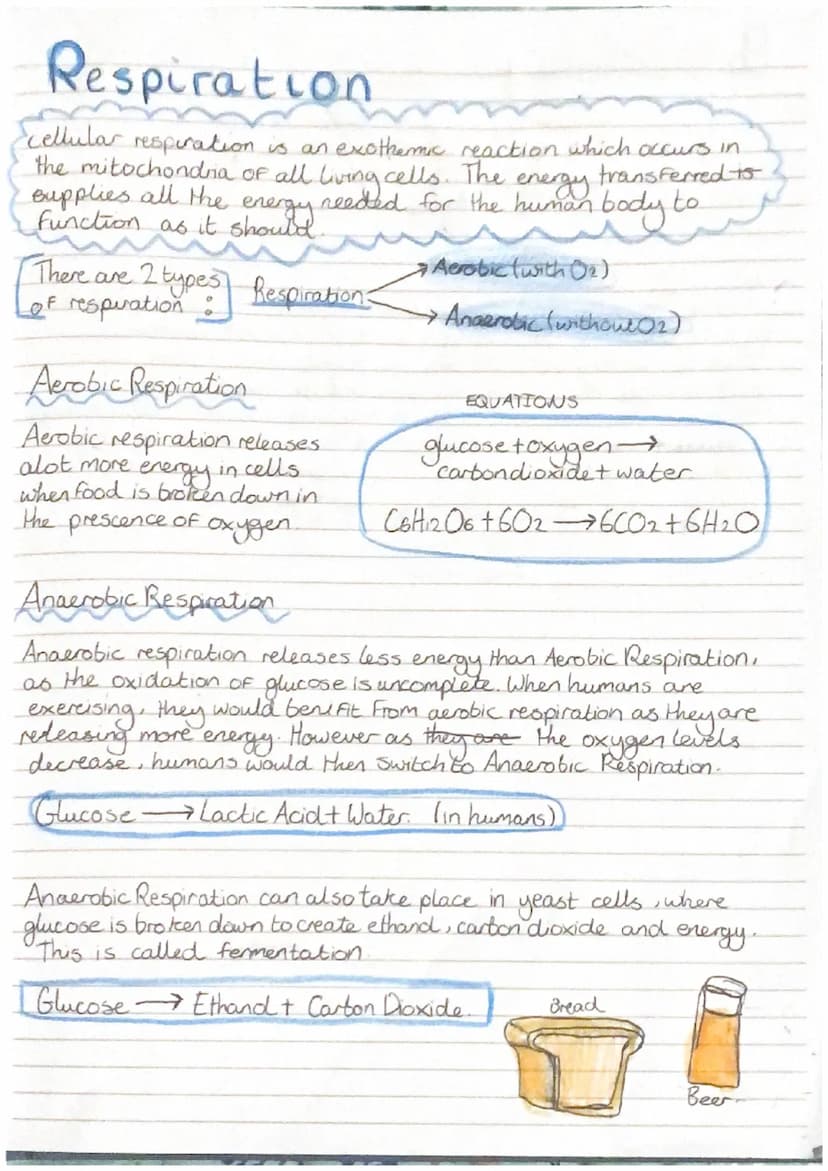 
<h2 id="introduction">Introduction</h2>
<p>In the study of biology, it is important to understand the concepts related to cells, their diff