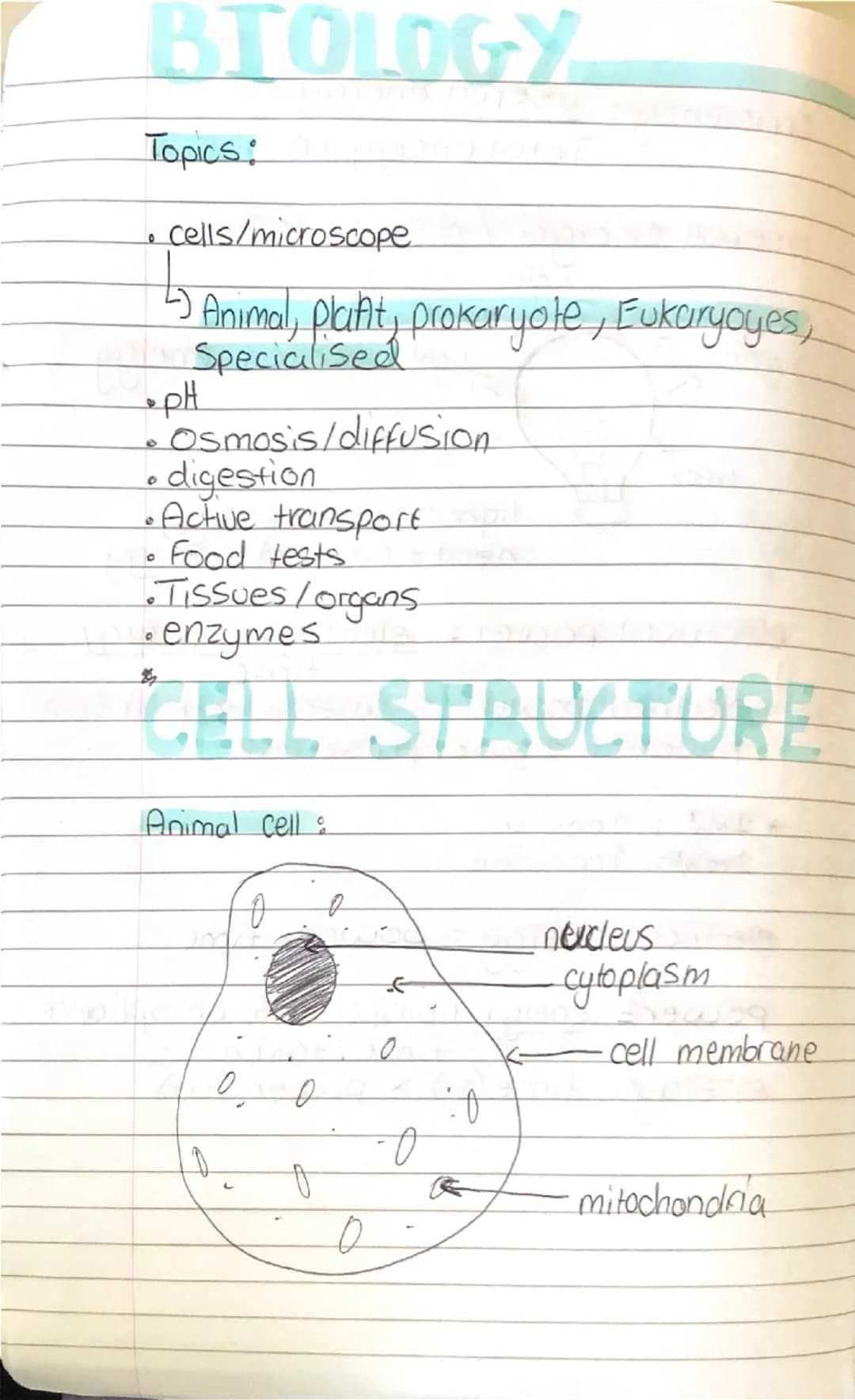 # BIOLOGY

Topics:
- cells/microscope
- Animal, plant, prokaryote, Eukaryotes,
Specialised
- pH
- Osmosis/diffusion
- digestion
- Active tra