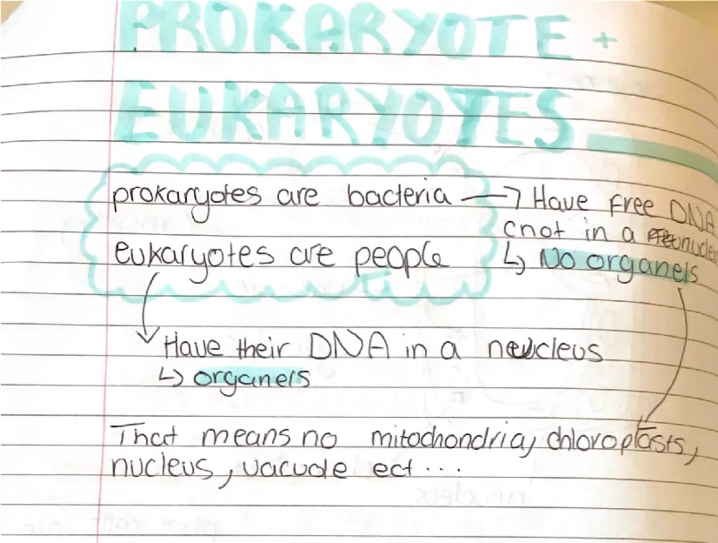 # BIOLOGY

Topics:
- cells/microscope
- Animal, plant, prokaryote, Eukaryotes,
Specialised
- pH
- Osmosis/diffusion
- digestion
- Active tra