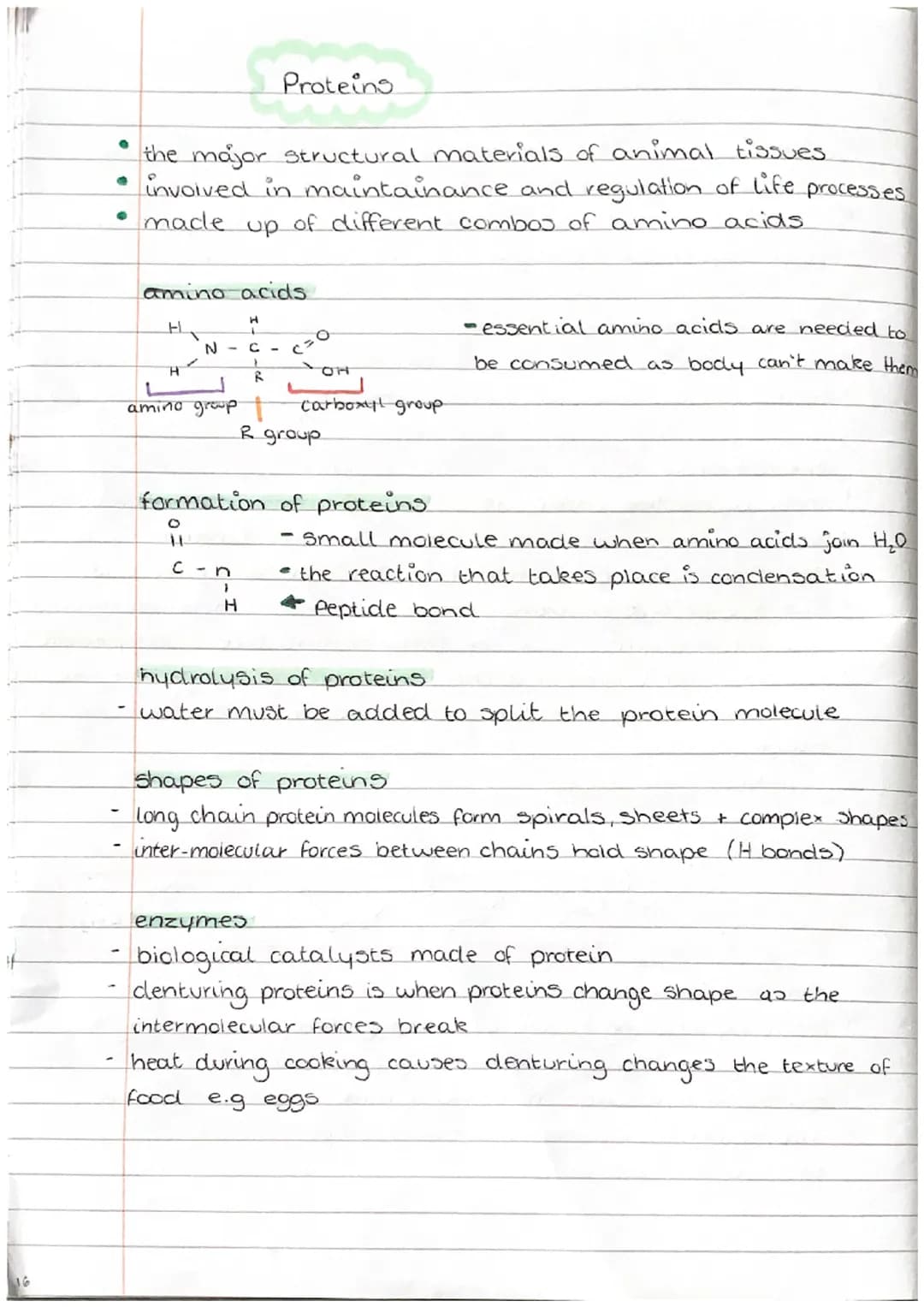 UNIT 2
NATURE'S CHEMISTRY
DO
8 +
Systematic Carbon Chemistry
+
Saturated
compound containing single carbon -
carbon bonds
unsaturated - comp