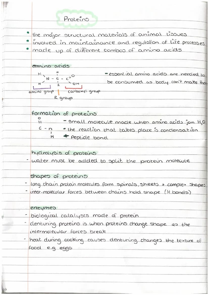 UNIT 2
NATURE'S CHEMISTRY
DO
8 +
Systematic Carbon Chemistry
+
Saturated
compound containing single carbon -
carbon bonds
unsaturated - comp