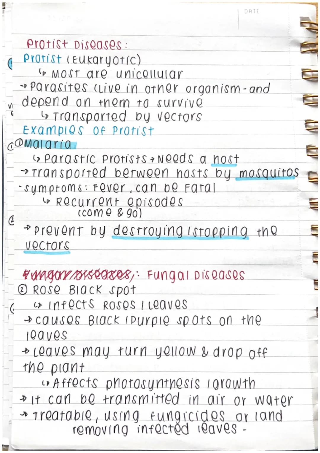 to virus
CD Bacteria
Biology
pathogens & Disease:
*Pathogen: A microrganism, which causes
disease.
85
11/02/23
COMMUNICABLE DISEASES
(Fungi
