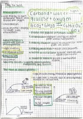 Know Photosynthesis revision  thumbnail