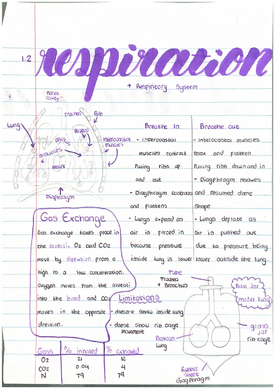1.1
cells
movememes
Diffusion
LOW
High
molecules move from an
area OF high concentration
to a low concentration.
Osmosis
(Water From high to