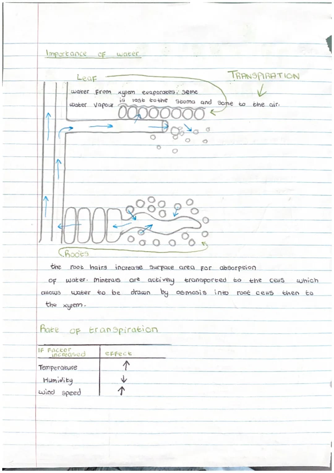 1.1
cells
movememes
Diffusion
LOW
High
molecules move from an
area OF high concentration
to a low concentration.
Osmosis
(Water From high to