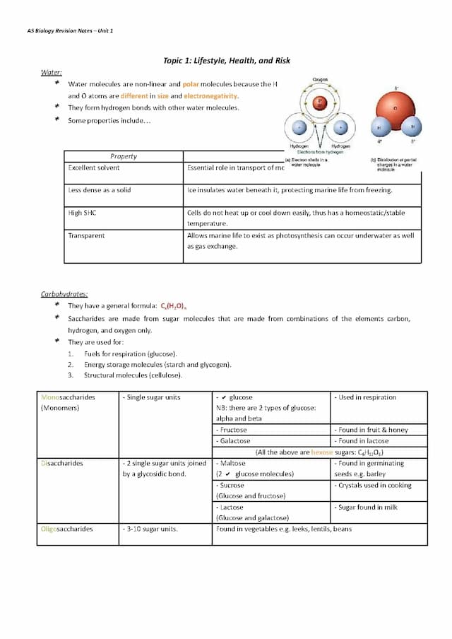 Know As biology revision notes - Unit 1 thumbnail