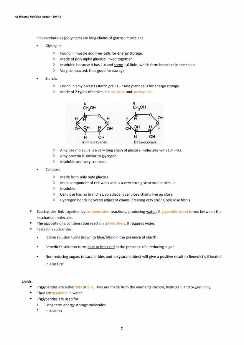AS Biology Revision Notes - Unit 1
Water:
*
*
*
*
Topic 1: Lifestyle, Health, and Risk
Water molecules are non-linear and polar molecules be