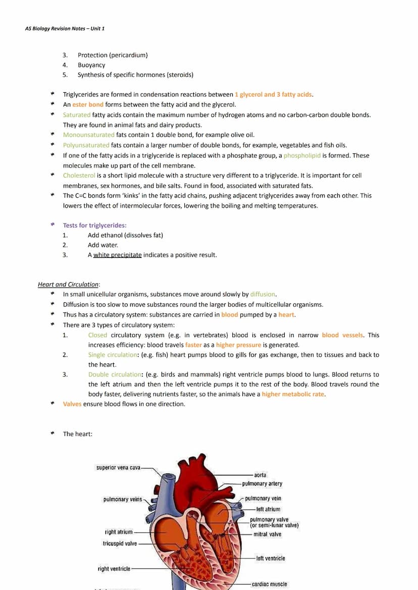 AS Biology Revision Notes - Unit 1
Water:
*
*
*
*
Topic 1: Lifestyle, Health, and Risk
Water molecules are non-linear and polar molecules be