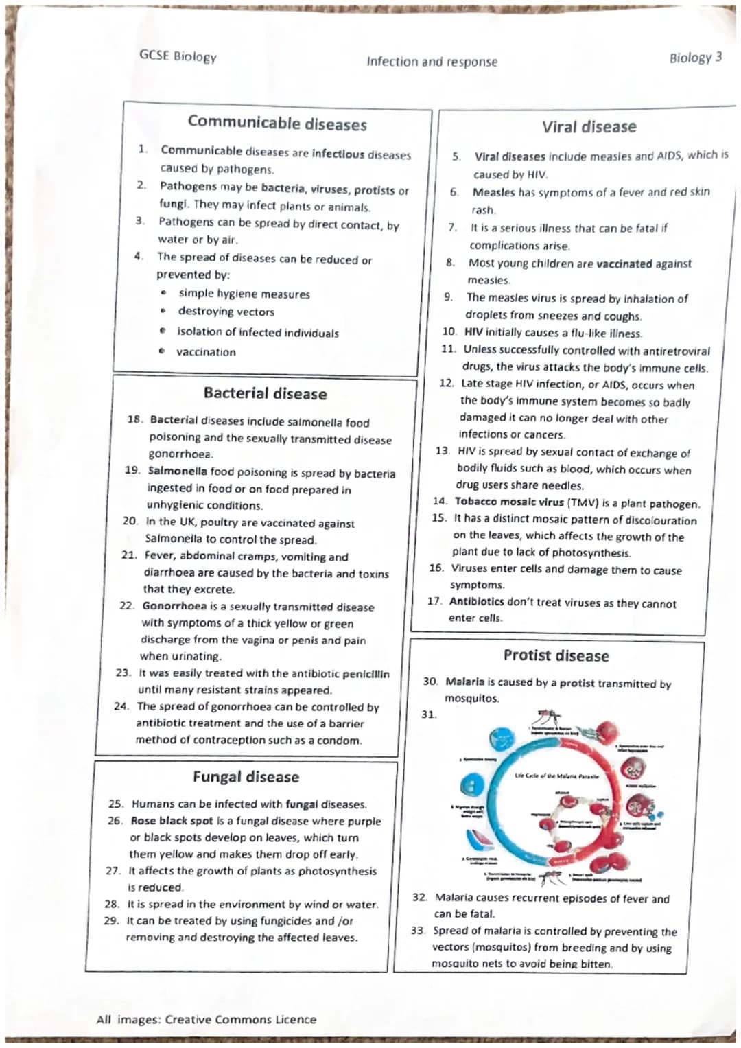 9.
8.
7.
2.
3.
4.
5.
10.
14.
15.
Cells
1. Most animal cells have a nucleus, cytoplasm, cell membrane,
mitochondria and ribosomes.
Plant and 