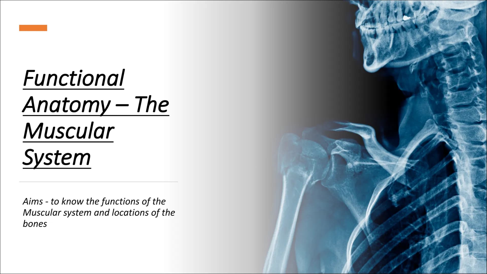 Functional
Anatomy - The
Muscular
System
Aims - to know the functions of the
Muscular system and locations of the
bones Types of Movement
Fl